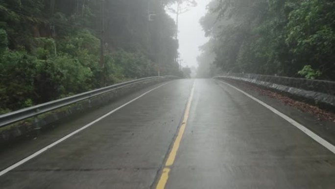 穿过热带森林的道路