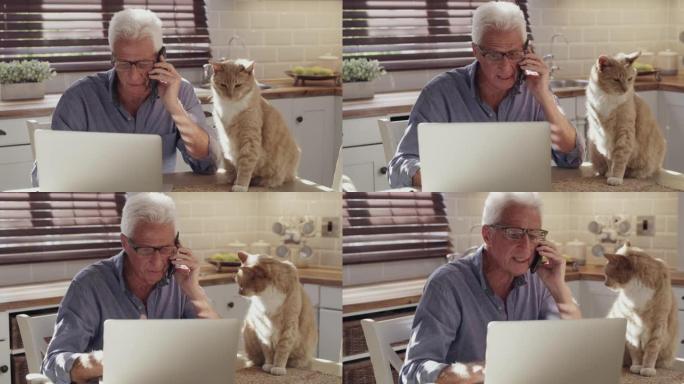 4k视频片段，一个无法识别的男人带着猫坐在家里的厨房里，使用技术
