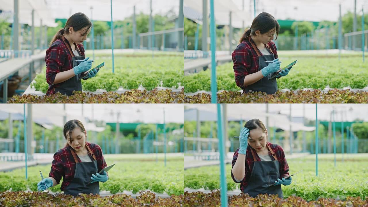 亚洲女性年轻农民在温室中种植的水培农场上检查沙拉蔬菜