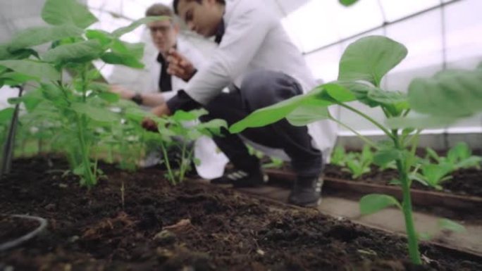 土壤研究种植栽培栽种