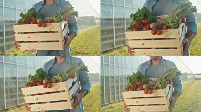 SLO MO年轻的男性农民背着装满新鲜蔬菜的板条箱