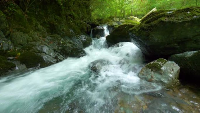 美丽的溪流森林海氧吧瀑布溪流水