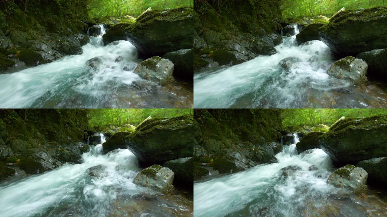 美丽的溪流森林海氧吧瀑布溪流水