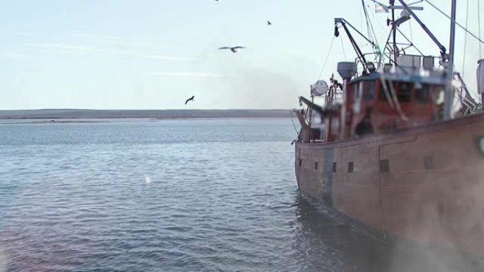 阿根廷巴塔哥尼亚里约内格罗省圣安东尼奥奥斯特港的渔船和海鸥。