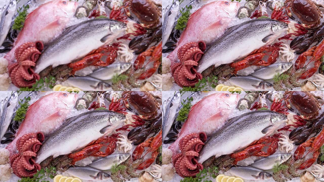 4K UHD缩小顶视图转移焦点: 各种豪华新鲜海鲜，龙虾鲑鱼鲭鱼小龙虾虾章鱼贻贝和扇贝，在冰背景上。