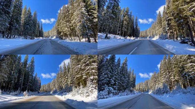 穿越雪白森林的雪乡公路上的驾驶视点