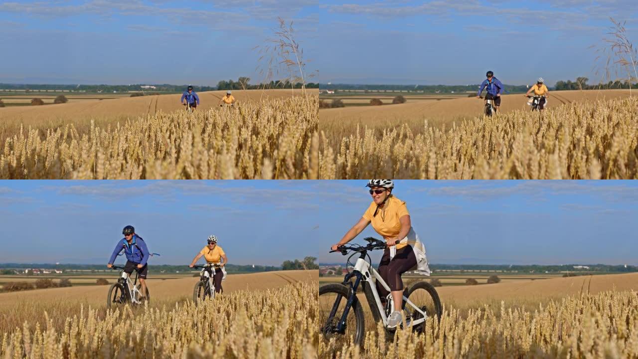 SLO MO夫妇在黄金麦田骑自行车