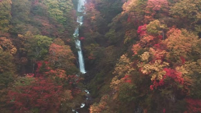 秋天的鸟瞰瀑布高山峰森林海云海翻滚