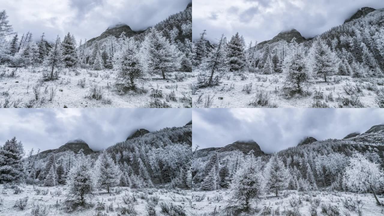 红外摄影创造的梦幻冬季色彩