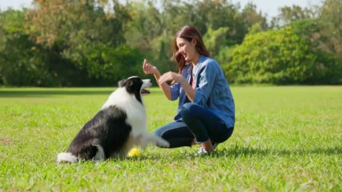 女子训练犬