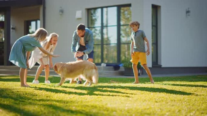 微笑的父亲，女儿，儿子与忠诚的金毛猎犬一起玩，他奔向他们，他们都拥抱那只美丽的血统狗。在阳光明媚的日