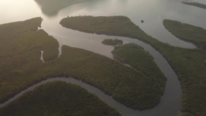 泰国的攀牙湾红树林