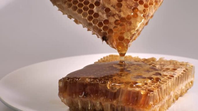 蜂蜜在蜂蜜梳子上流动