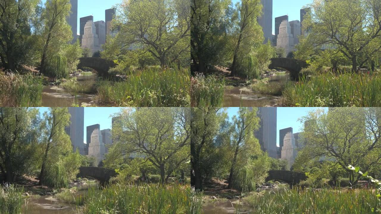 田园诗般的镜头，在田园诗般的中央公园中间，一座过河的桥梁