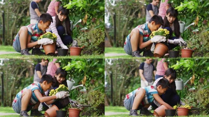 快乐的亚洲兄弟姐妹在花园里，种花和聊天，父母在背景中