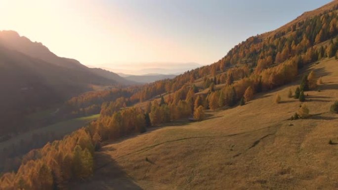 无人机: 日落时分多洛米蒂的牧场和秋天的彩色森林的华丽镜头
