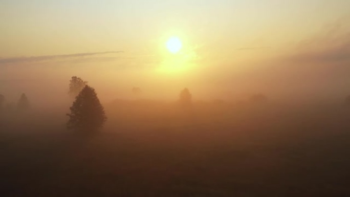 无人机在浓雾笼罩的神秘雾气，树木和蜿蜒的河流上飞向史诗般的旭日。