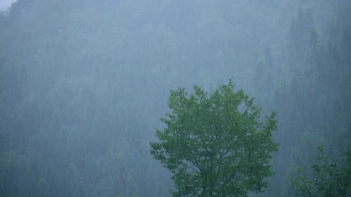 山区暴雨雨天林木区有土路下雨森林山区暴雨