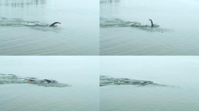 男子在湖中游泳极限冲浪水上运动员海上运动