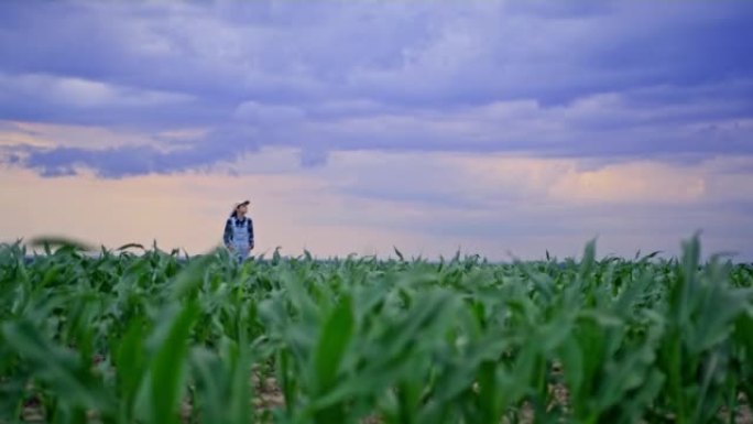 留着棕色长发，帽子和工作服的农夫妇女站在农业玉米地里，抬头仰望天空检查天气，多云的夜晚