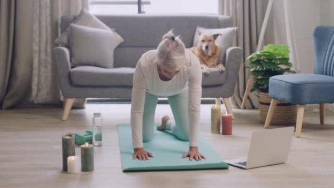 成熟的女人练习瑜伽，同时在家里的笔记本电脑上观看在线教程视频。女性瑜伽士在虚拟健身课上的运动垫上伸展