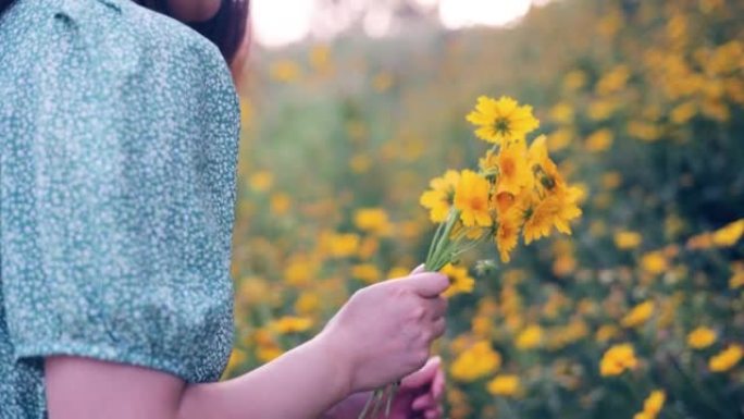 女人在夏天的花园里摘黄花