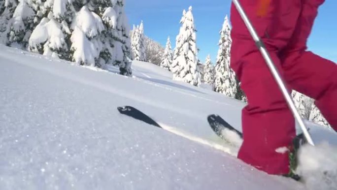 特写: 健康的女人在朱利安阿尔卑斯山滑雪旅行时在深雪中徒步旅行。