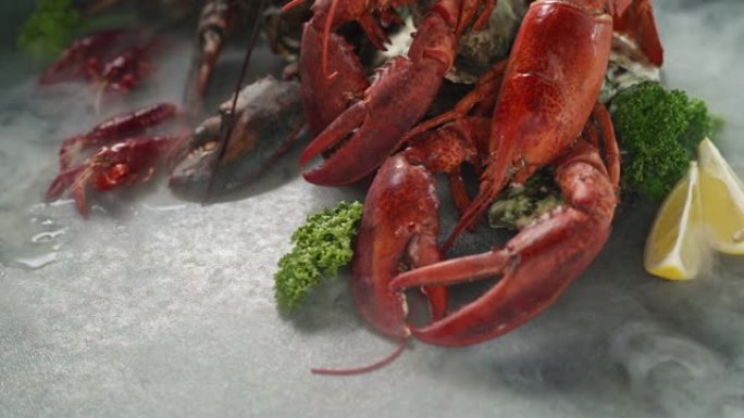 FHD慢动作: 在黑色背景上关闭加拿大龙虾和小龙虾的换档焦点，并带有冰冻的冰冷烟雾。新鲜豪华海鲜和菜