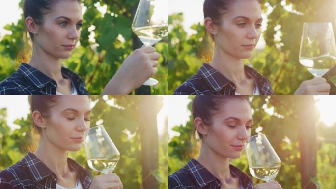 成功成功的女性酿酒师的真实照片正在品尝一种风味，并检查日落时在葡萄园背景上倒入透明玻璃杯中的葡萄酒质