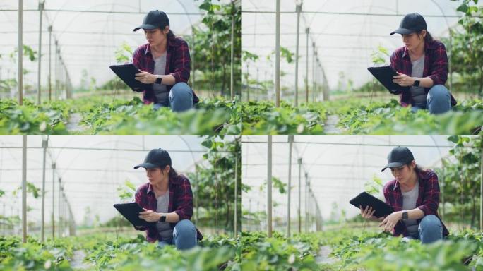 使用数字平板电脑监控的女农民