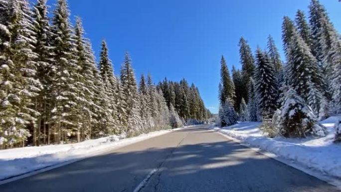 冬天沿着白雪覆盖的森林在空旷的道路上行驶