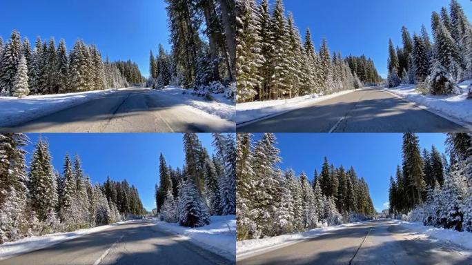 冬天沿着白雪覆盖的森林在空旷的道路上行驶
