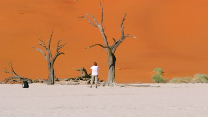 WS女性游客拍摄德阿德德雷树，纳米比亚，非洲