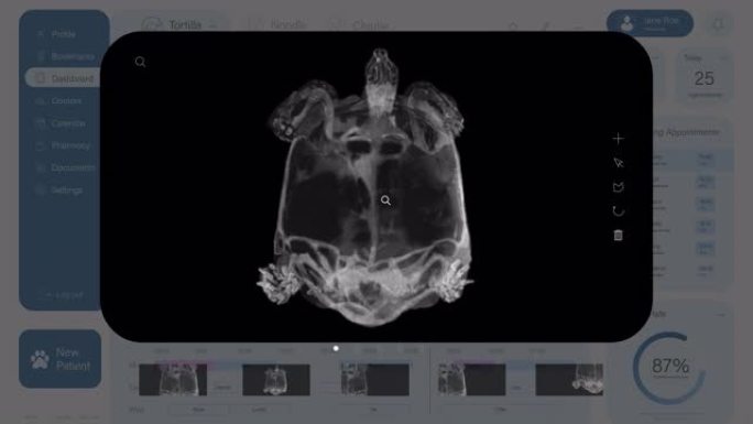 兽医诊所医疗软件的光接口模型。兽医的计算机程序与开放的病人病例的宠物Tutoise。X光扫描和症状。