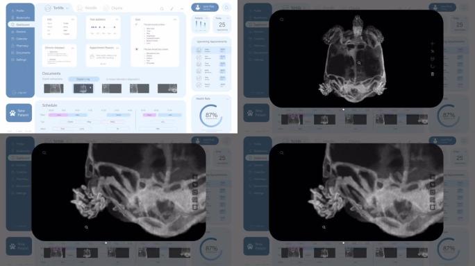 兽医诊所医疗软件的光接口模型。兽医的计算机程序与开放的病人病例的宠物Tutoise。X光扫描和症状。