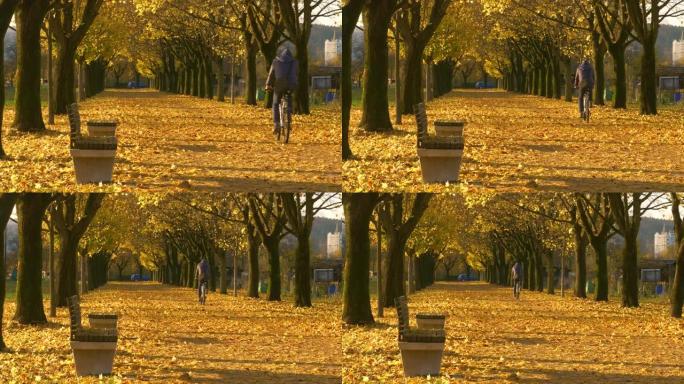 面目全非的人骑着自行车沿着满是五颜六色的落叶的大道