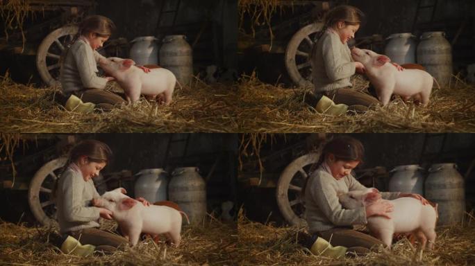 快乐小女孩的电影镜头是用爱和关怀爱抚生态生长的新生粉色仔猪，用于农村养猪场猪圈的生物正品产品行业。