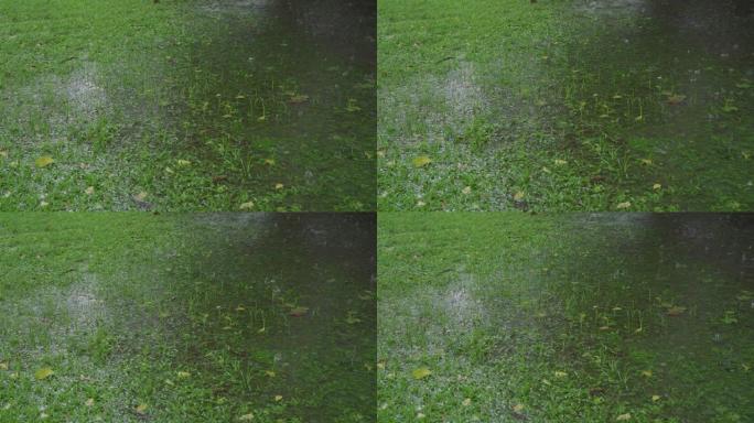 前院或后院地面草地上的4k暴雨