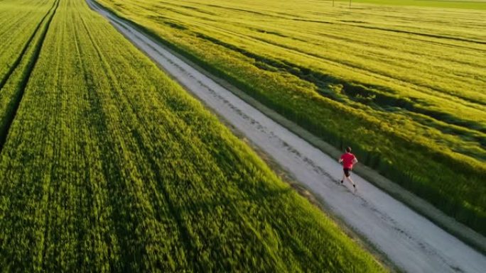 男运动员在草地环绕的土路上慢跑的鸟瞰图，跟踪户外追逐的镜头