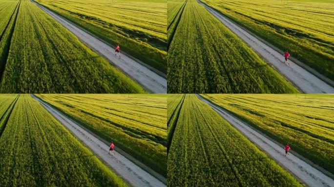 男运动员在草地环绕的土路上慢跑的鸟瞰图，跟踪户外追逐的镜头