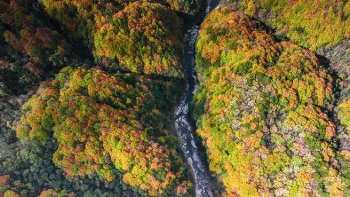 光雾山秋色缤纷山峦山川峡谷环境保护