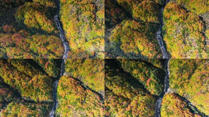 光雾山秋色缤纷山峦山川峡谷环境保护