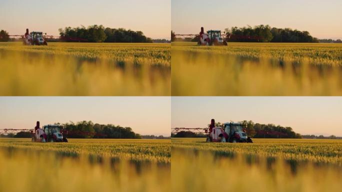 SLO MO Farmer用农作物喷雾器驾驶拖拉机穿过麦田