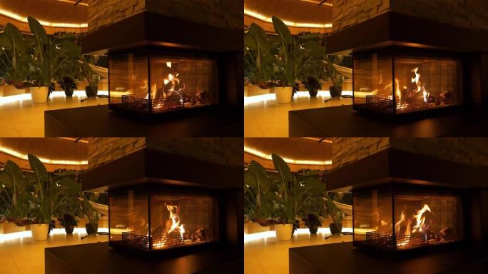 燃烧的壁炉在充满热带植物的室内丛林中放松心情