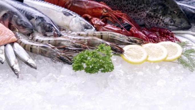 4K UHD多莉左: 各种豪华新鲜海鲜，龙虾鲑鱼鲭鱼小龙虾对虾章鱼贻贝和扇贝，在冰背景上。冰上新鲜冷