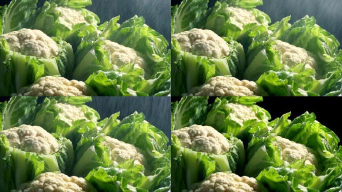 花椰菜蔬菜在细水喷雾