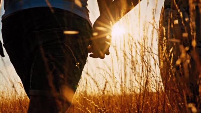 日落时分，SLO MO爱心夫妇在高高的羊茅草中牵手