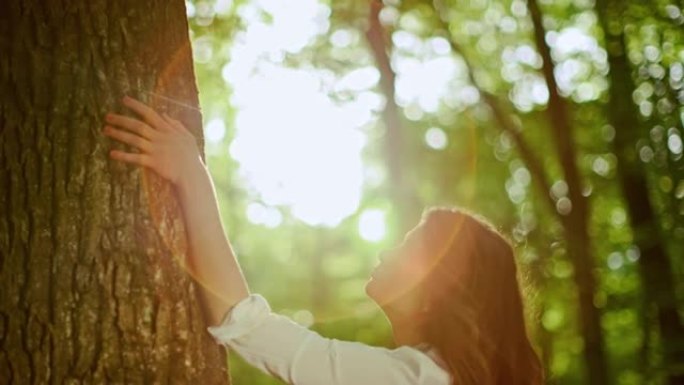 SLO MO年轻女子在阳光明媚的森林中触摸一棵树