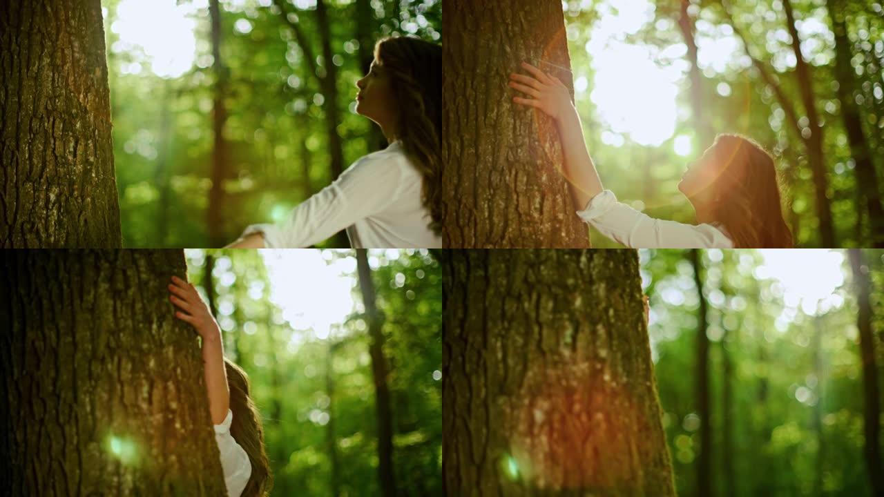 SLO MO年轻女子在阳光明媚的森林中触摸一棵树