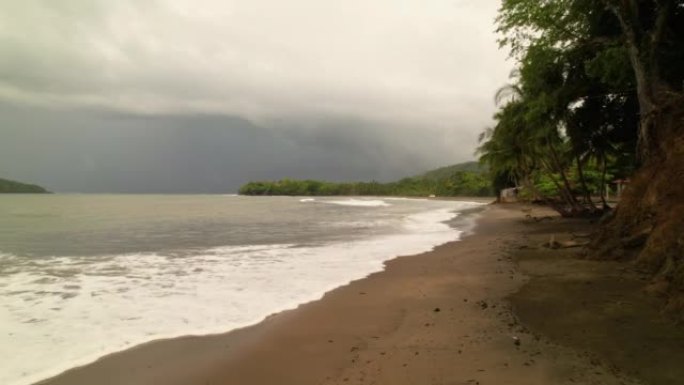 空中: 在黑狗上方低空飞行，并在沙滩上溢出海浪